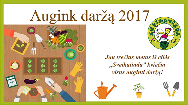 2017 augink darza